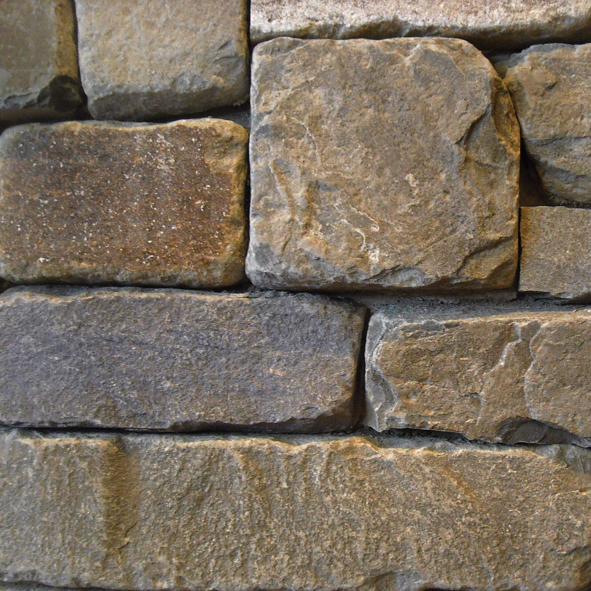 Mussel Shell River Ledge Thin Veneer