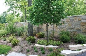 Beaver Creek Castlestone Thin Veneer project