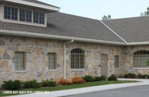 Lannon Buff Webwall Thin Veneer